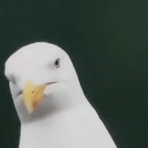 ClearSight | Monocolo Ultra-Zoom 600x – Leggero, Compatto & Resistente alle Intemperie